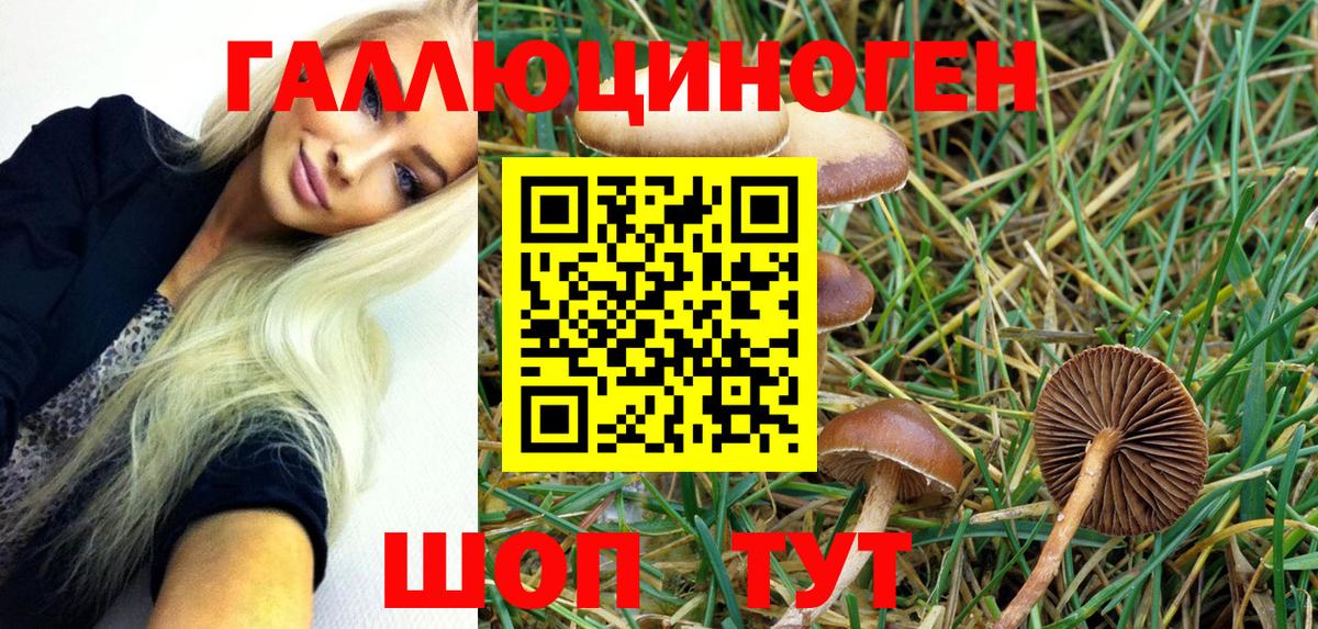 Псилоцибиновые грибы Psilocybe Ликино-Дулёво