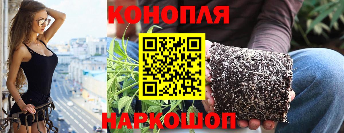Ликино-Дулёво  Шишки марихуана AK-47  Шишки марихуана SATIVA & INDICA  Бошки марихуана план  Вход с VPN  МАРИХУАНА OG Kush 